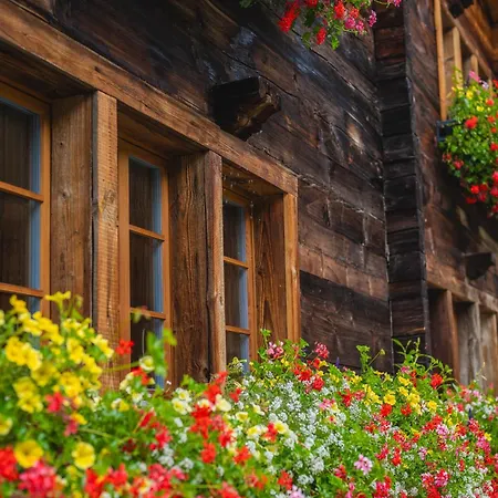 Schuler Domek alpejski *