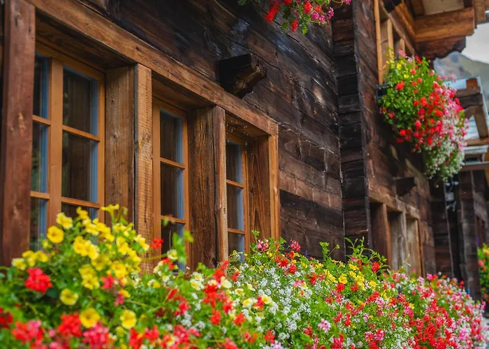 Schuler Domek alpejski *